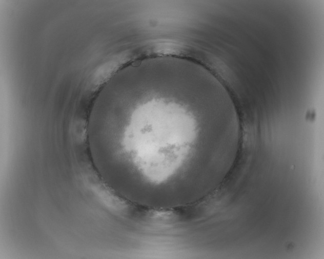 X0000113070401200909182030