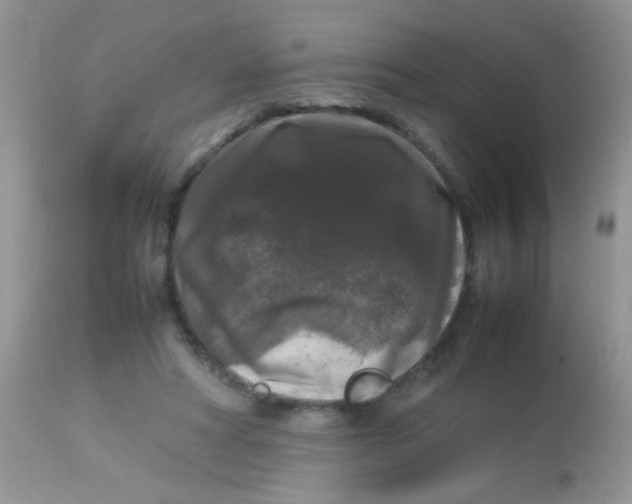 X0000113070402200909182030