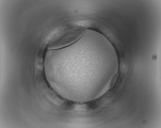 X0000113070403200909182030