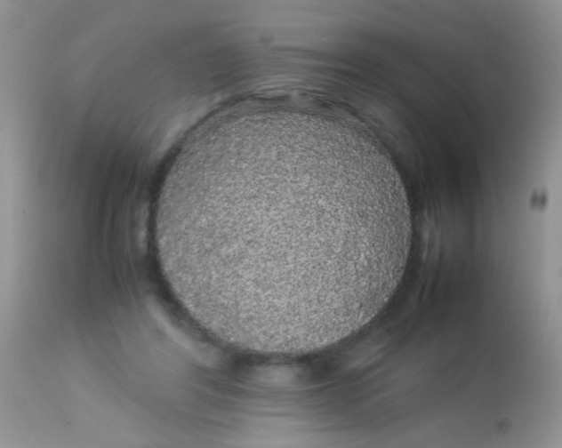 X0000113070404200909182030