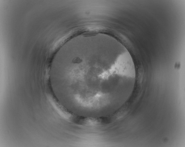 X0000113070405200909182030