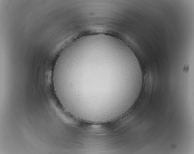 X0000113070406200909182030