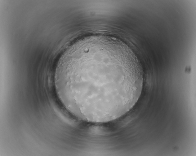 X0000113070408200909182030