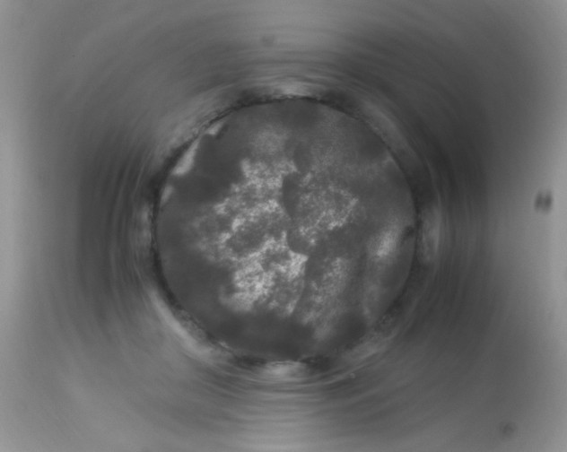 X0000113070410200909182030