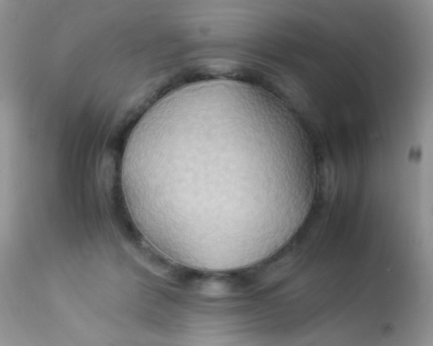 X0000113070412200909182029