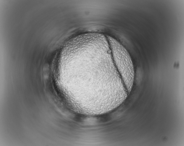 X0000113070413200909182029