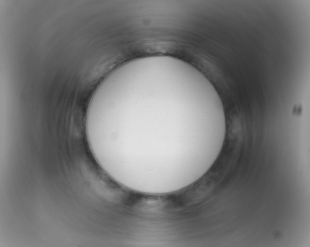 X0000113070414200909182029