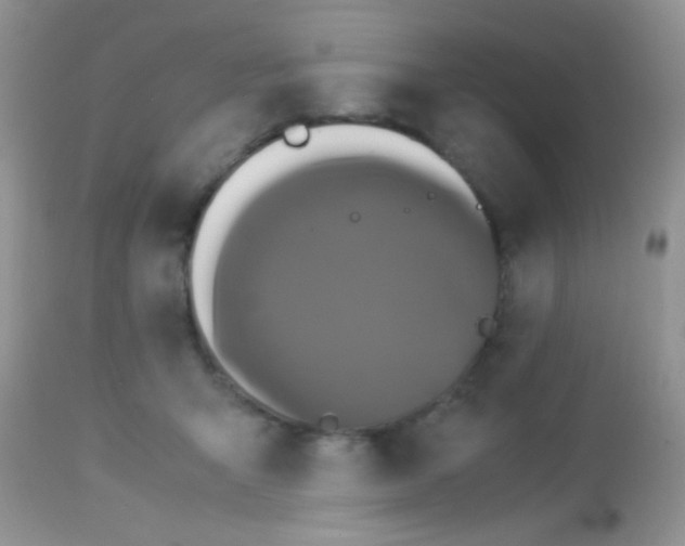 X0000113070415200909182029