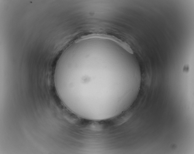 X0000113070416200909182029