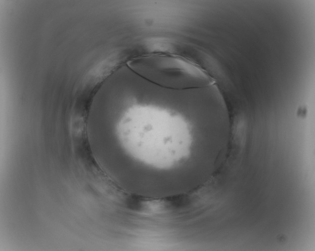 X0000113070417200909182029