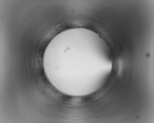 X0000113070418200909182029