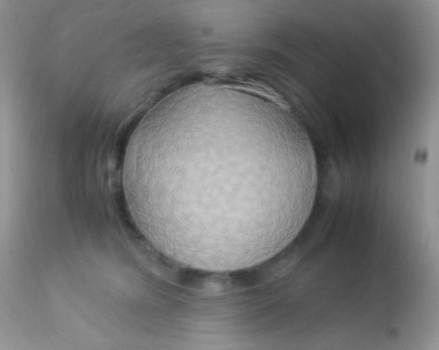 X0000113070420200909182029