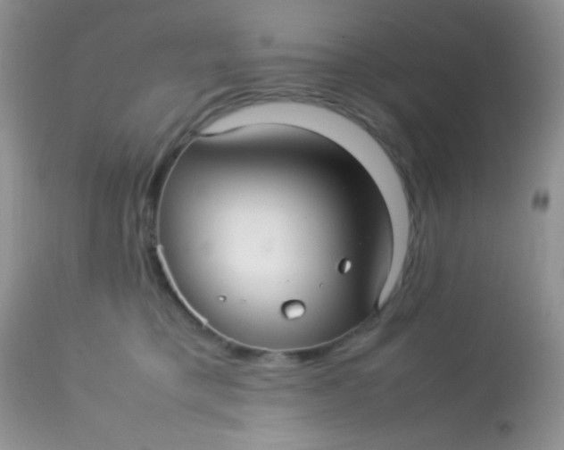 X0000113070421200909182029