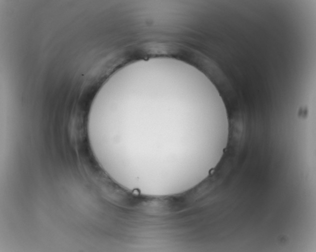 X0000113070422200909182029