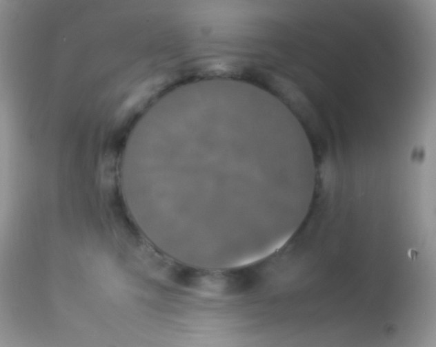 X0000113070423200909182029