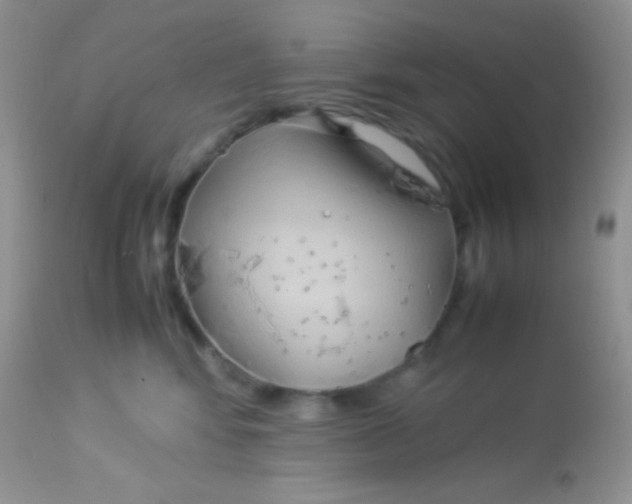 X0000113070424200909182029