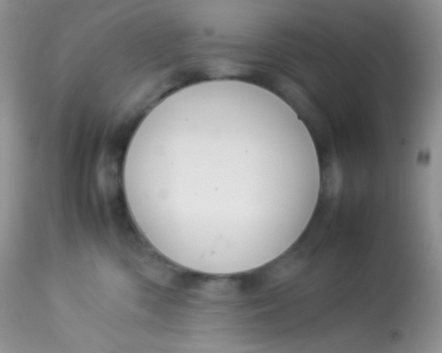 X0000113070426200909182029