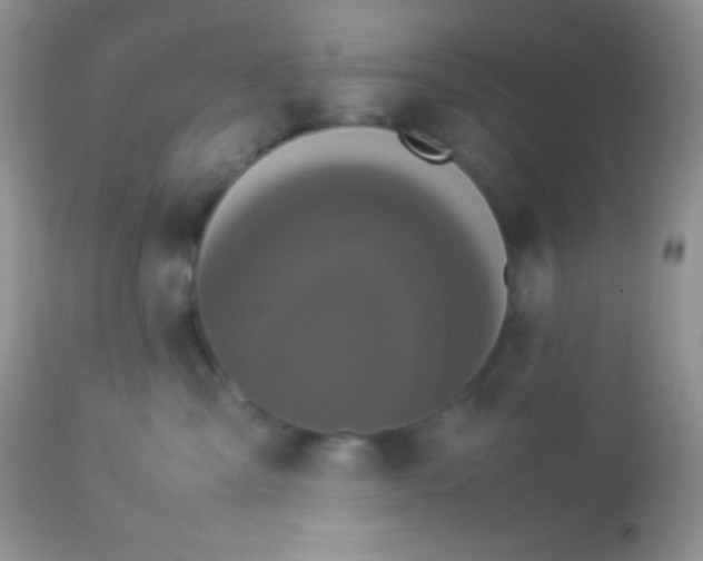 X0000113070427200909182029