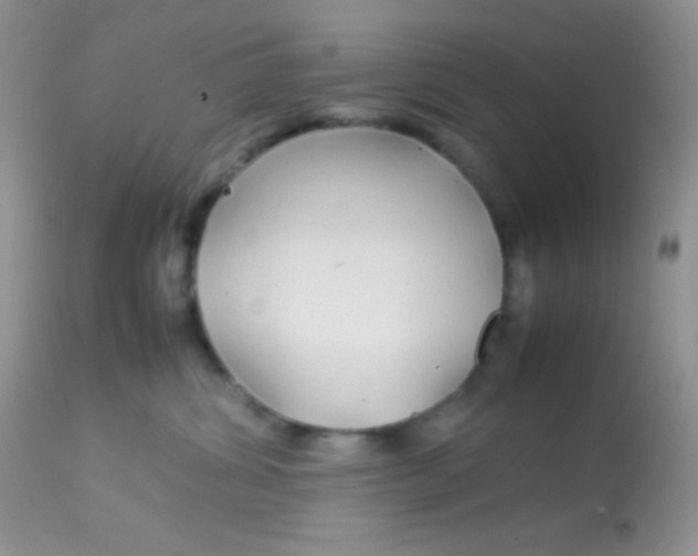 X0000113070428200909182029