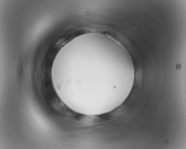 X0000113070429200909182029