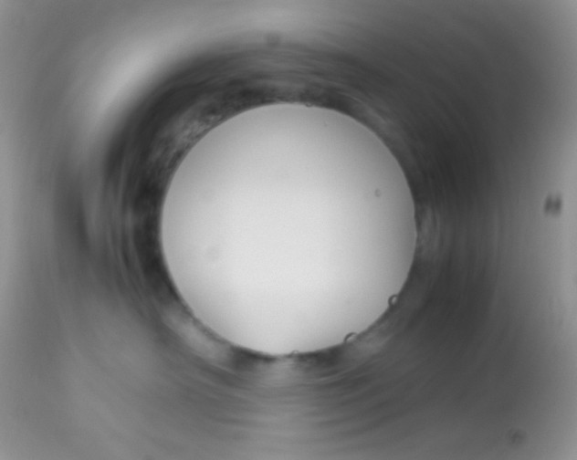 X0000113070430200909182029