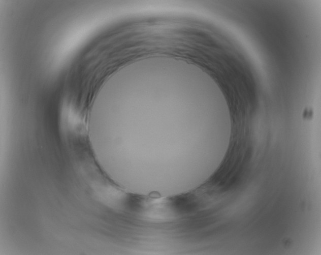 X0000113070431200909182029