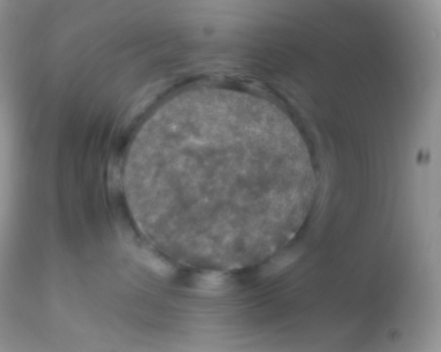 X0000113070432200909182029