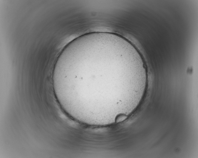 X0000113070433200909182028