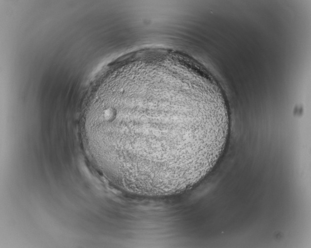 X0000113070434200909182028