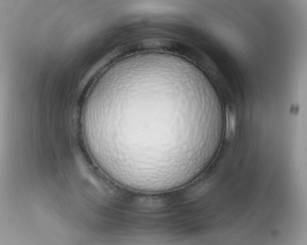 X0000113070435200909182028