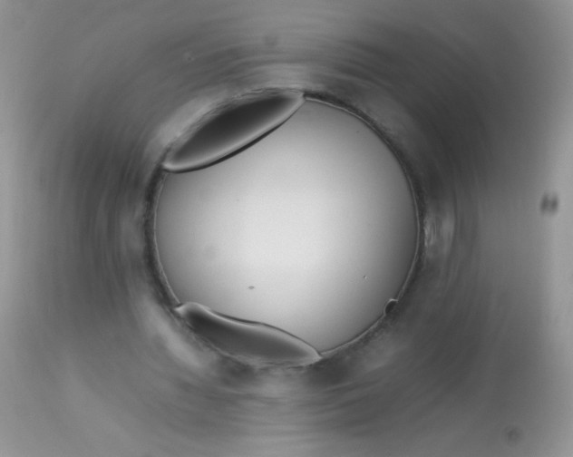 X0000113070436200909182028