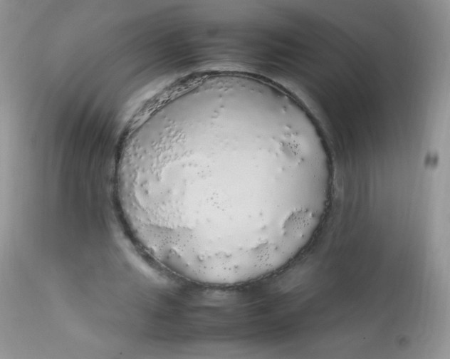 X0000113070437200909182028