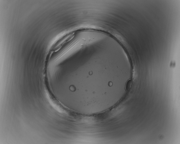 X0000113070438200909182028