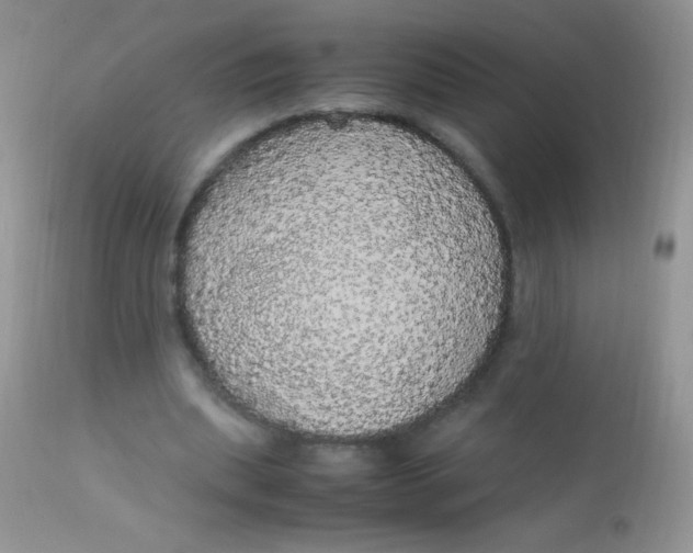 X0000113070439200909182028