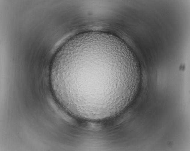 X0000113070442200909182028