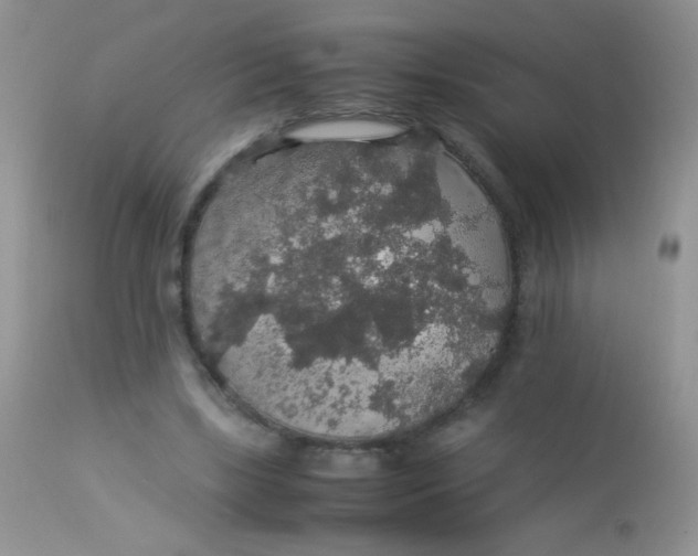 X0000113070443200909182029