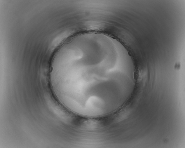 X0000113070444200909182029