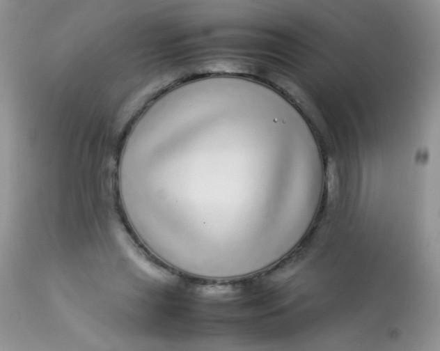 X0000113070445200909182029