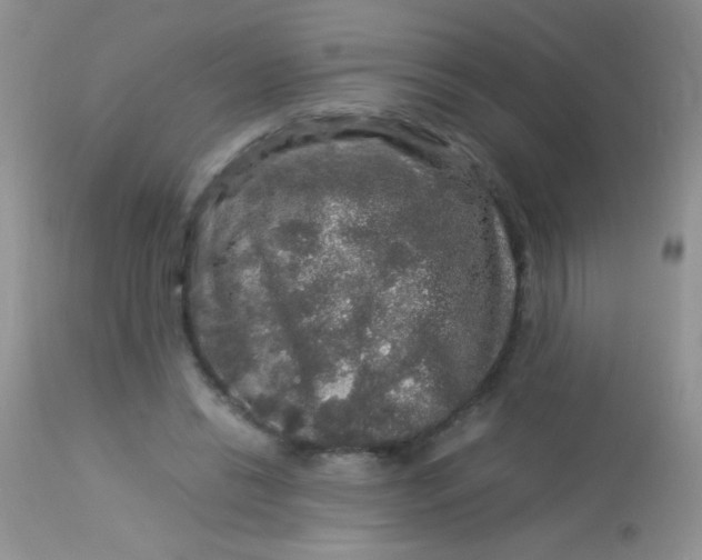 X0000113070446200909182029