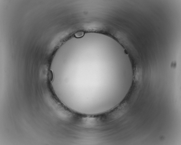 X0000113070448200909182029