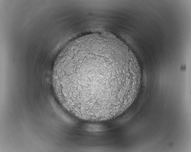 X0000113070449200909182029