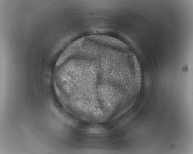 X0000113070451200909182029