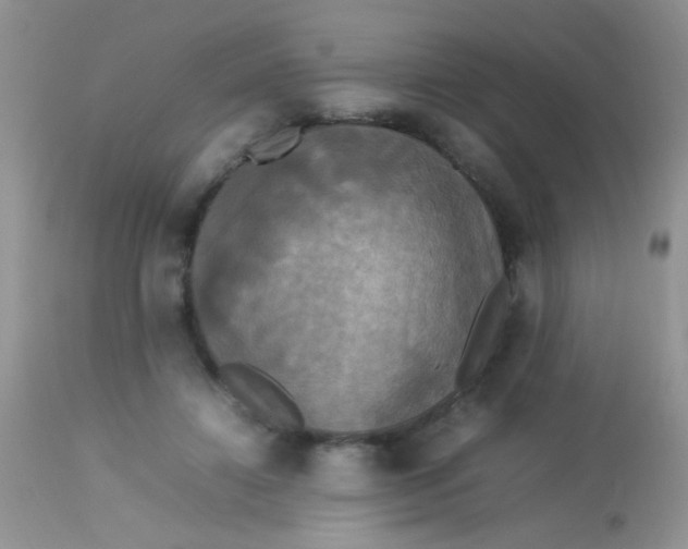 X0000113070452200909182029