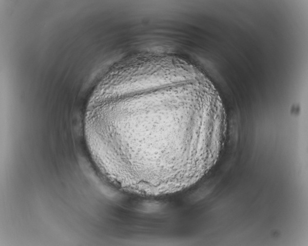 X0000113070453200909182029