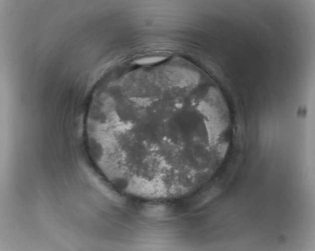 X0000113070454200909182029