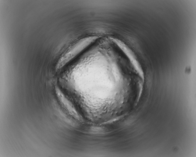 X0000113070457200909182029