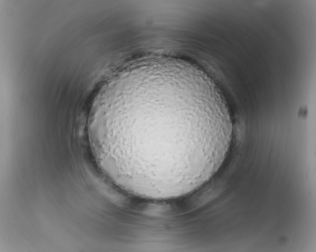 X0000113070458200909182029