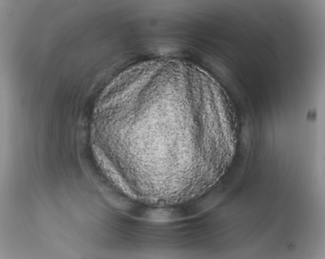 X0000113070461200909182029