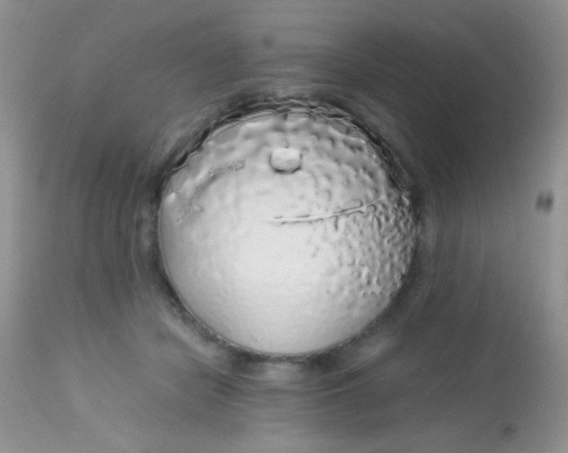 X0000113070462200909182029