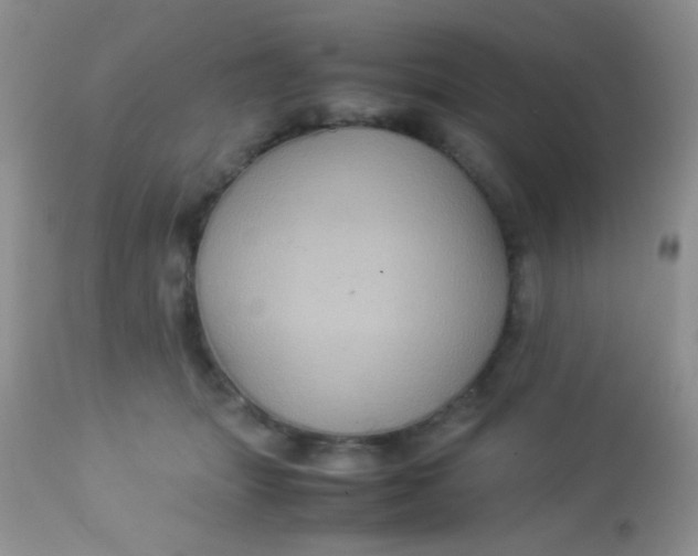 X0000113070463200909182029